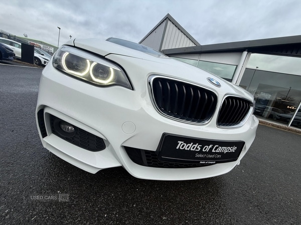 Used BMW 2 Series 2019 for sale - 78102043: Photo 30