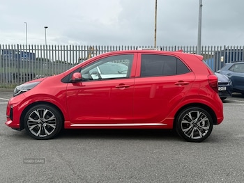 Used Kia Picanto 2023 for sale - 79497528: Photo