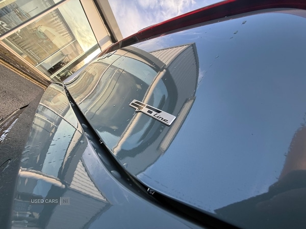 Used Kia Picanto 2025 for sale - 77156911: Photo 27