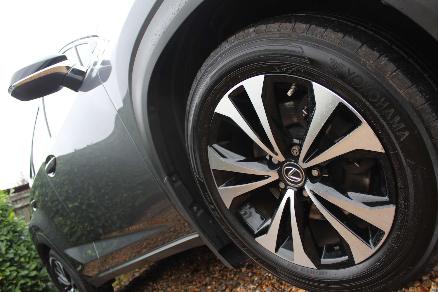 Used Lexus NX 2021 for sale - 76509347: Photo 6