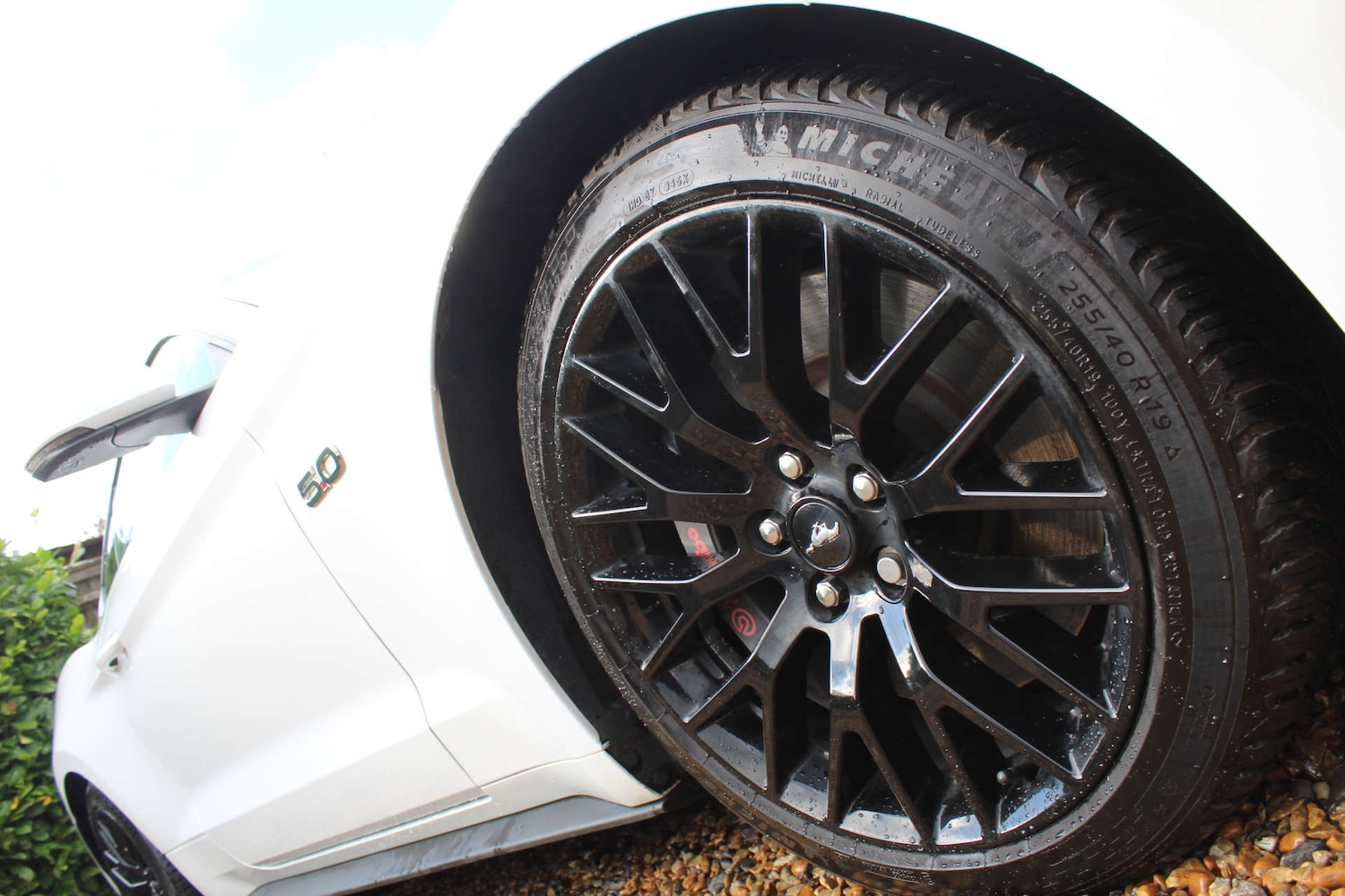 Used Ford Mustang 2022 for sale - 76507205: Photo 8