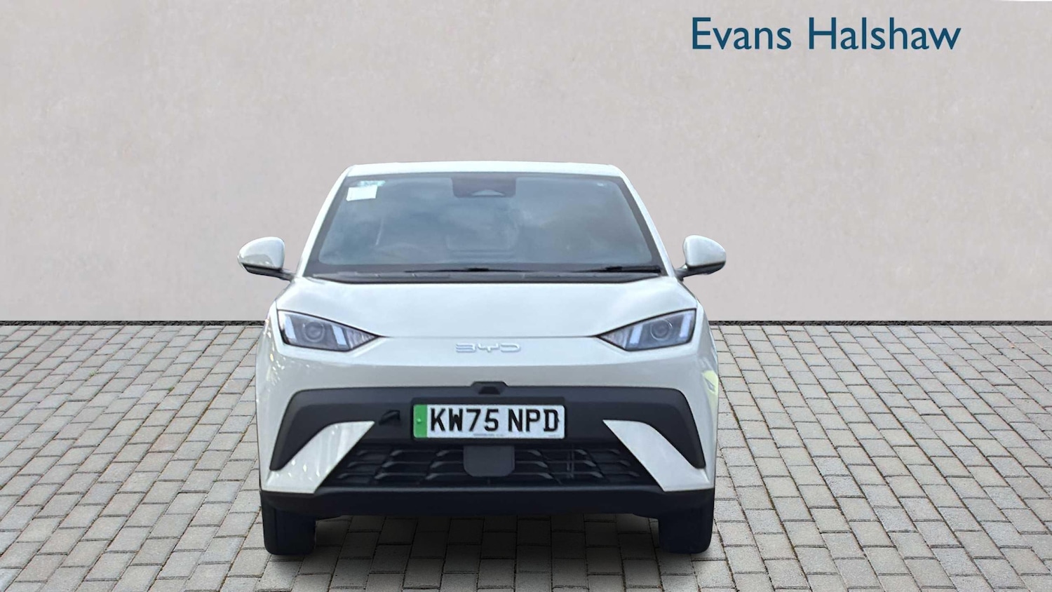 Used BYD Dolphin for sale - 77859110: Photo 4