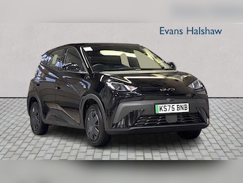 BYD Dolphin feature image