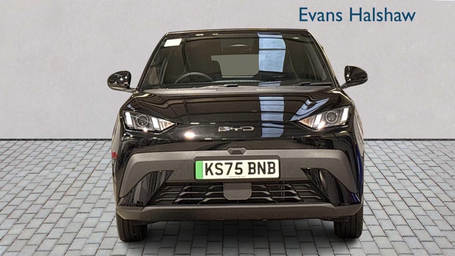 Used BYD Dolphin 2025 for sale - 77859369: Photo 4