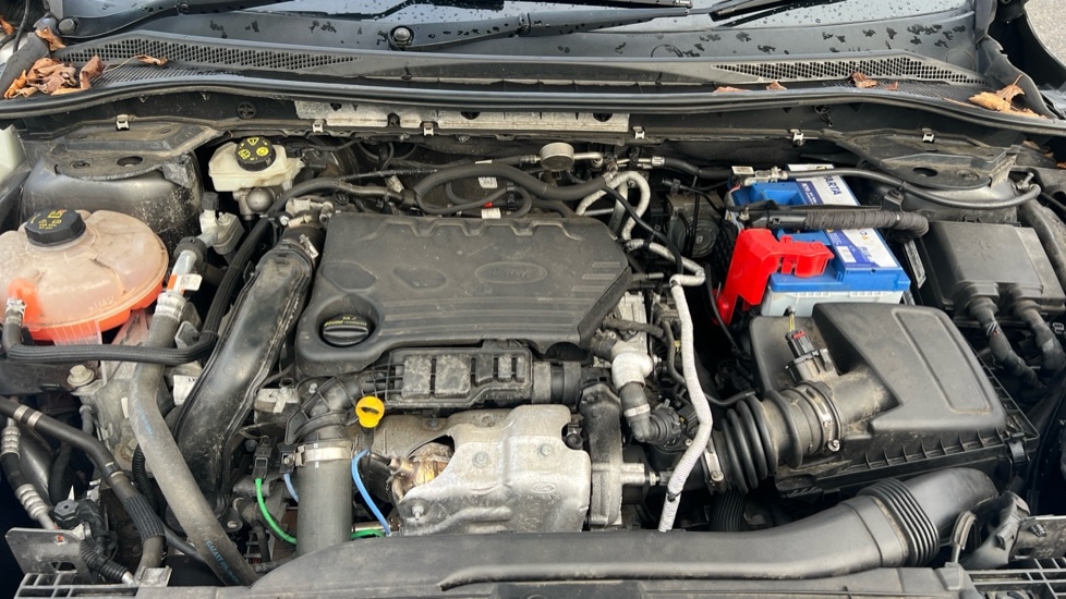 Used Ford Kuga 2020 for sale - 76873692: Photo 16