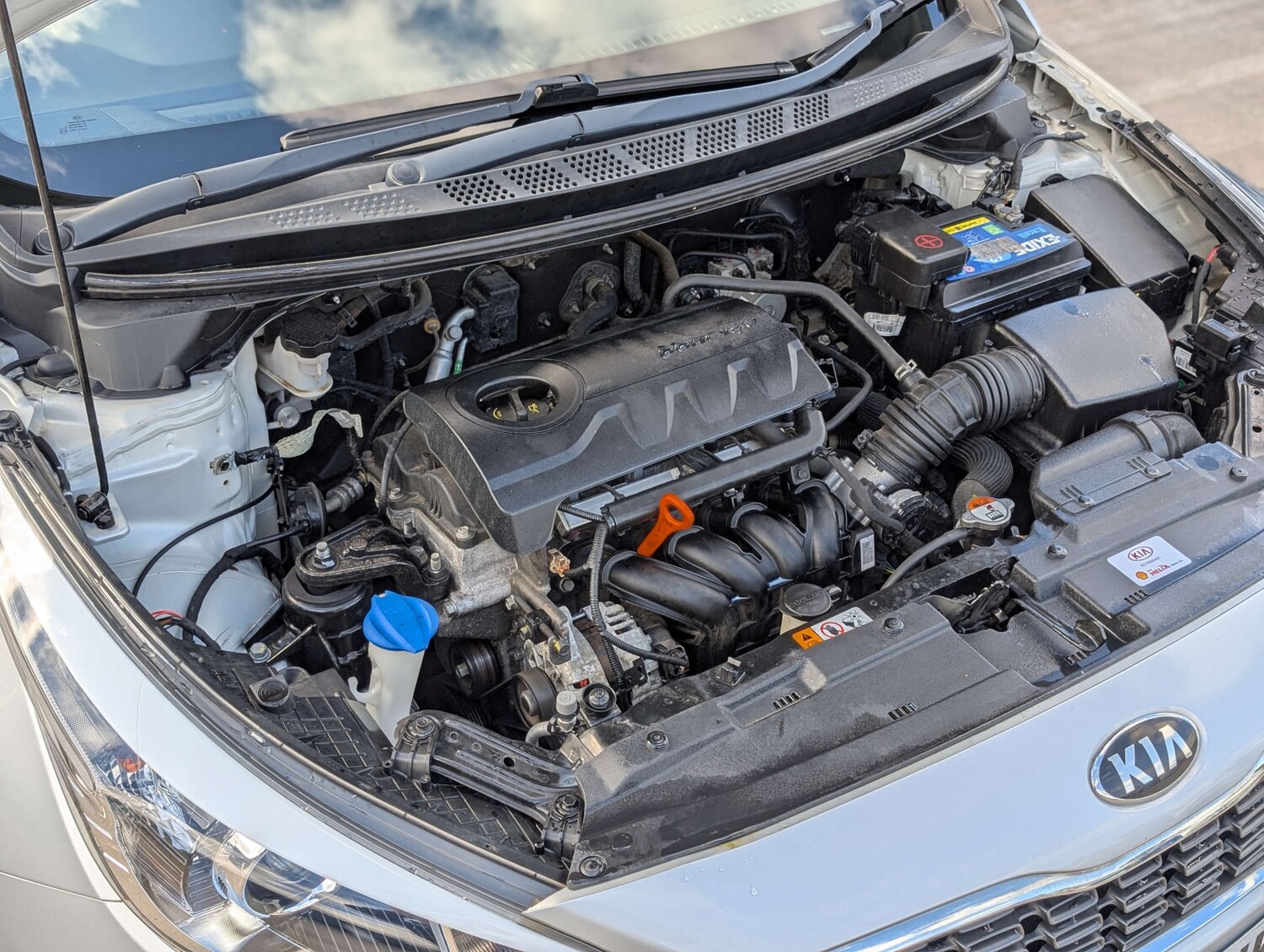 Used Kia Ceed 2016 for sale - 78108347: Photo 14