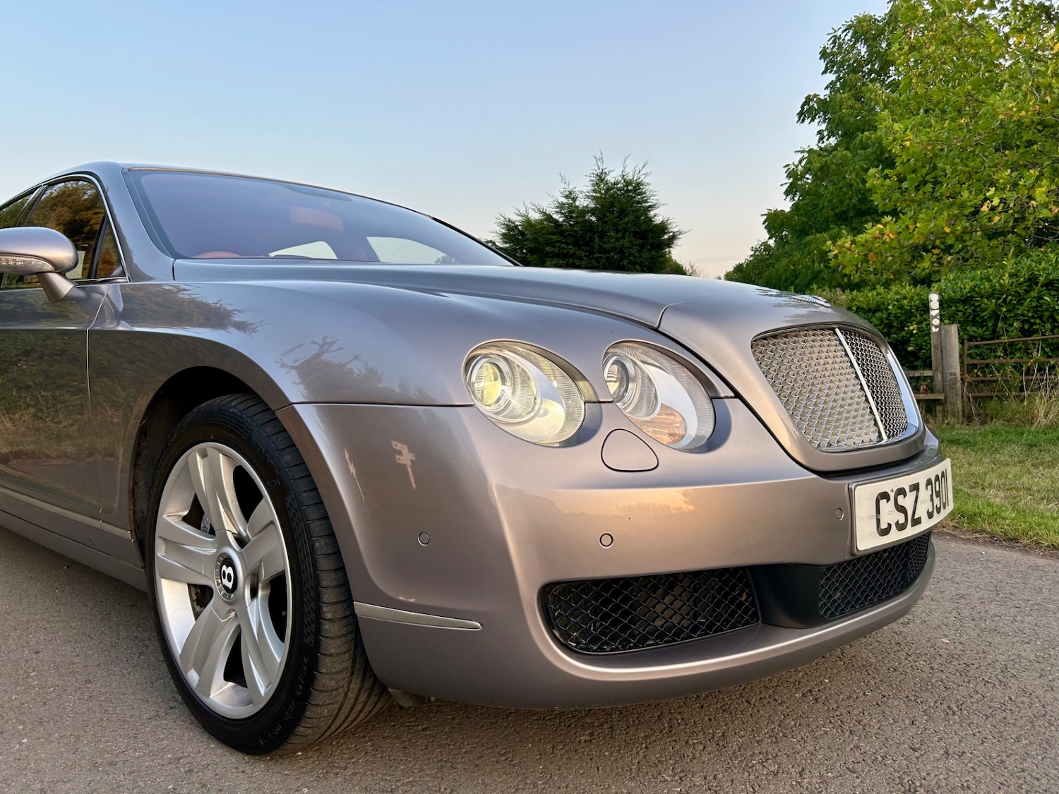 Used Bentley Continental 2007 for sale - 76957058: Photo 13