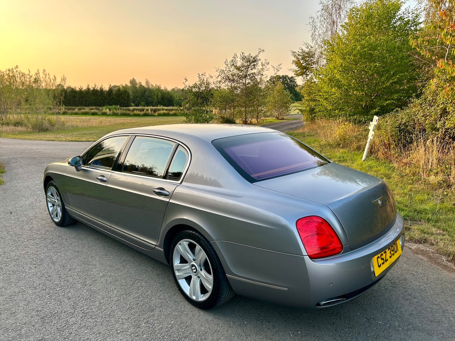 Used Bentley Continental 2007 for sale - 76957058: Photo 9