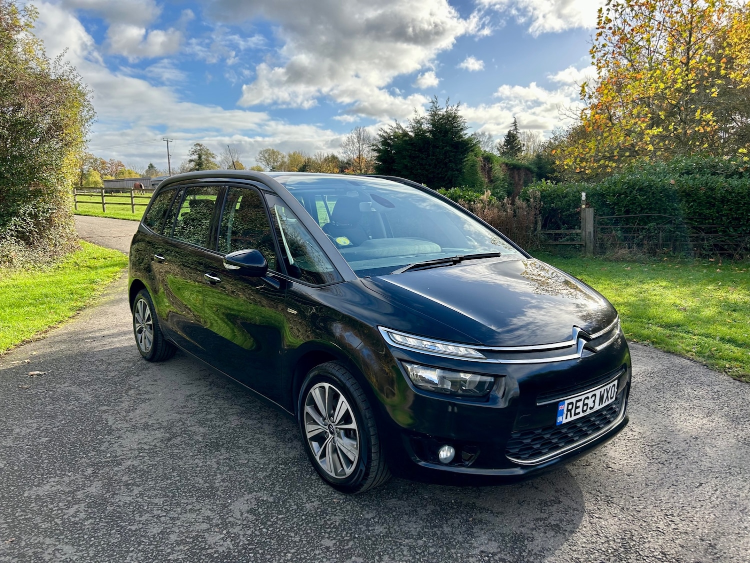 Used Citroen C4 Grand Picasso 2013 for sale - 76951386: Photo 1