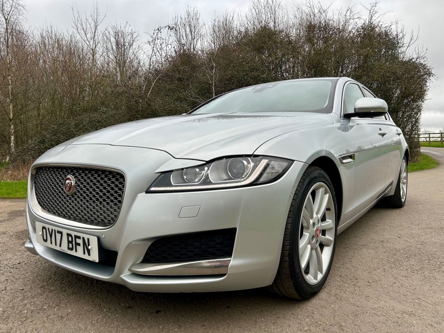 Used Jaguar XF 2017 for sale - 77735901: Photo 11