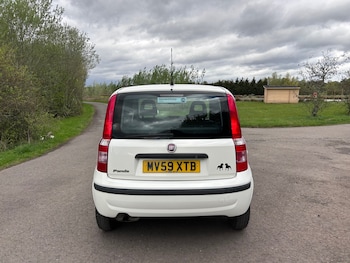 Used Fiat Panda 2009 for sale - 78477508: Photo