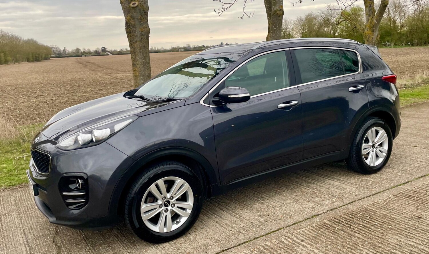 Used Kia Sportage 2016 for sale - 78190692: Photo 16