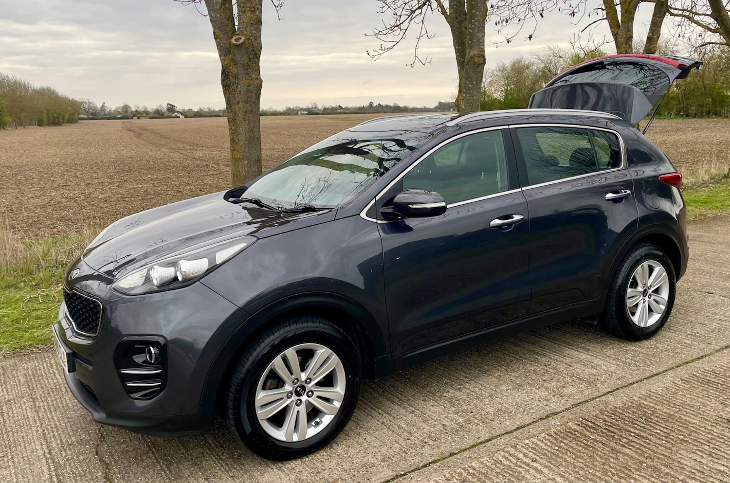 Used Kia Sportage 2016 for sale - 78190692: Photo 3