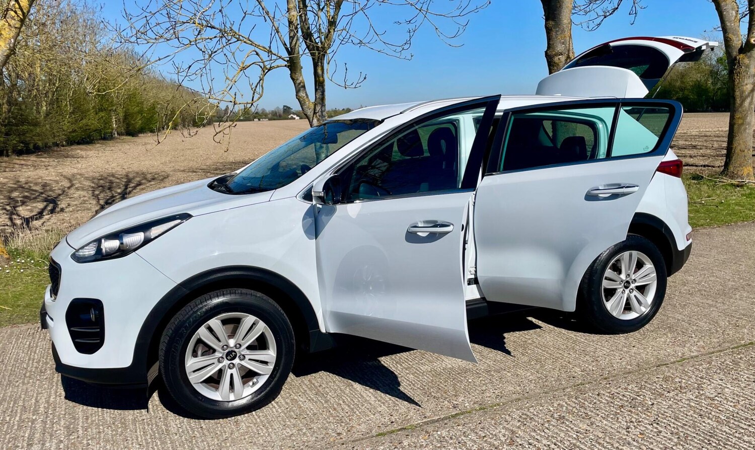 Used Kia Sportage 2016 for sale - 78190686: Photo 11