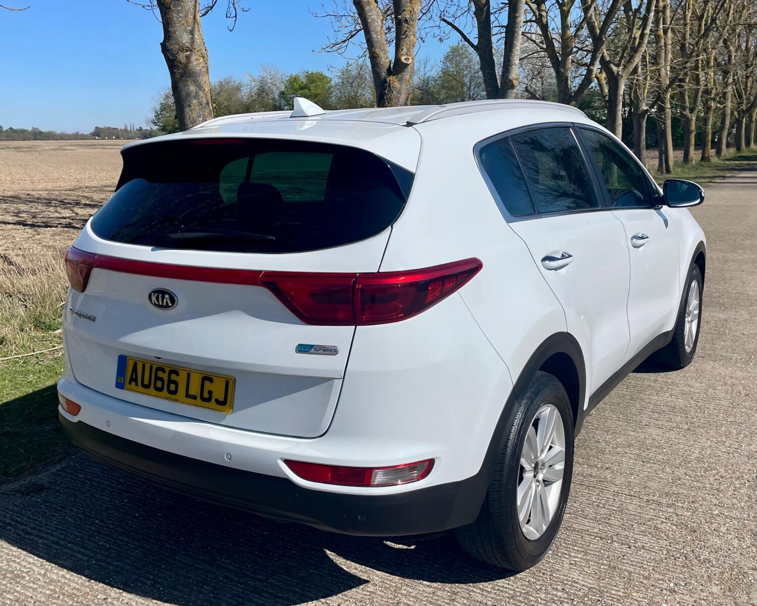 Used Kia Sportage 2016 for sale - 78190686: Photo 27