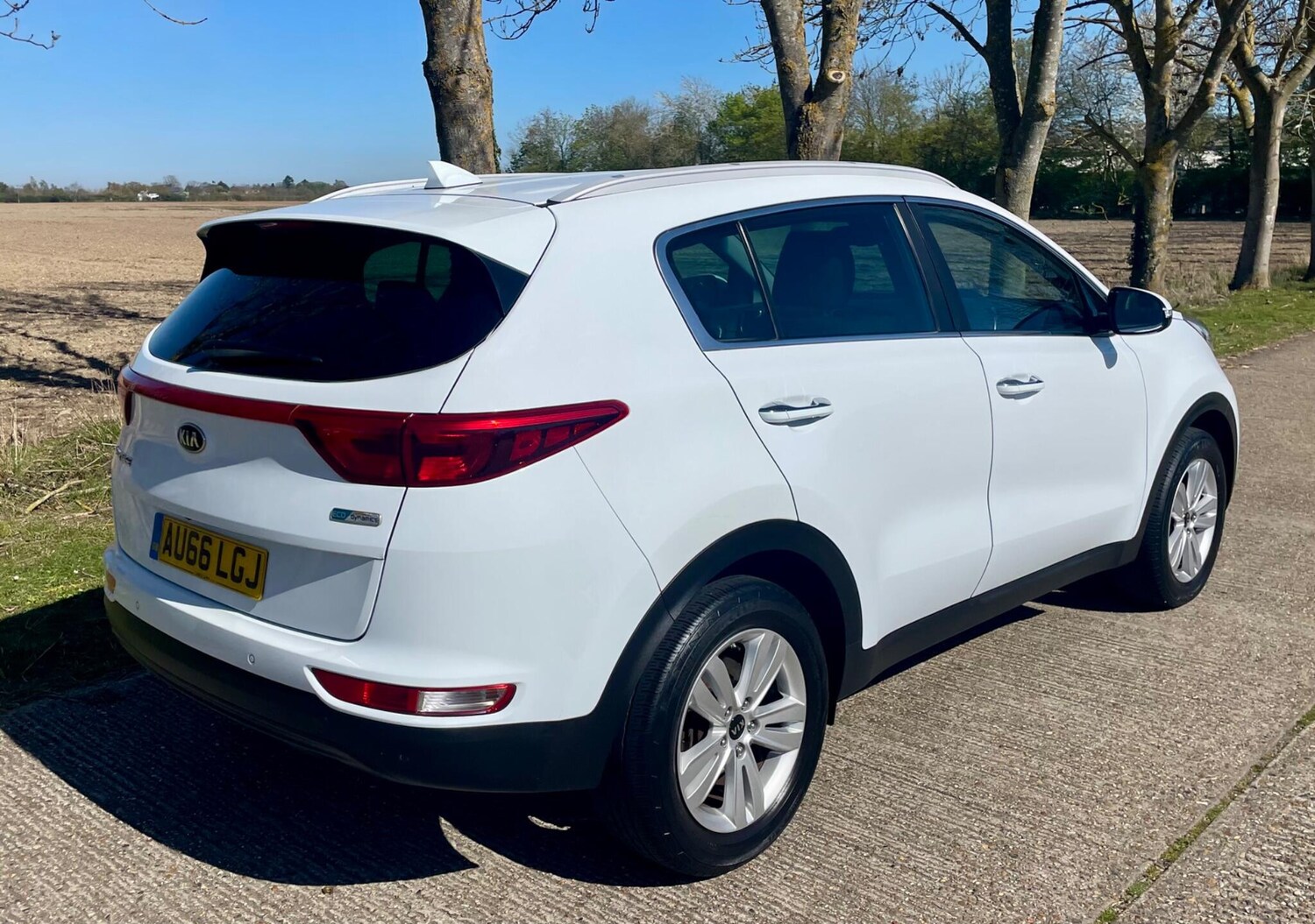 Used Kia Sportage 2016 for sale - 78190686: Photo 28