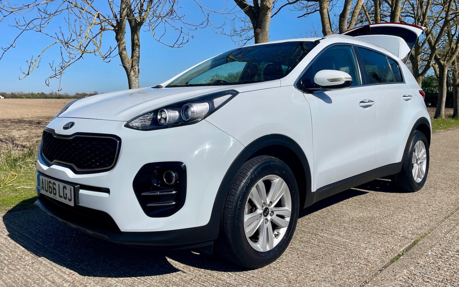 Used Kia Sportage 2016 for sale - 78190686: Photo 3