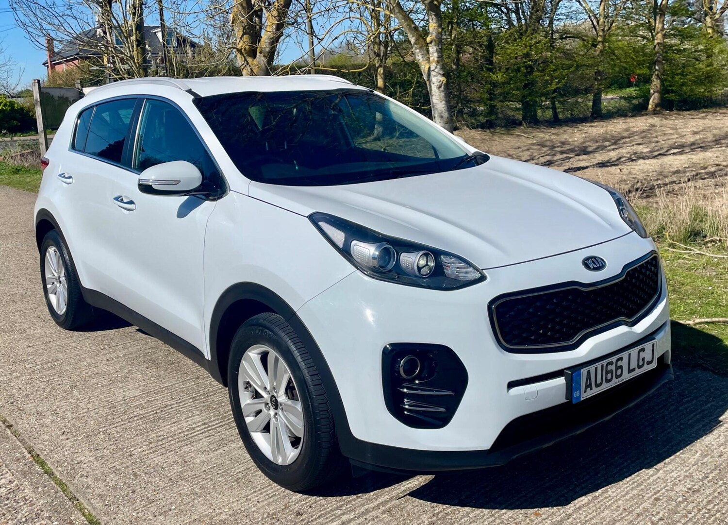 Used Kia Sportage 2016 for sale - 78190686: Photo 6