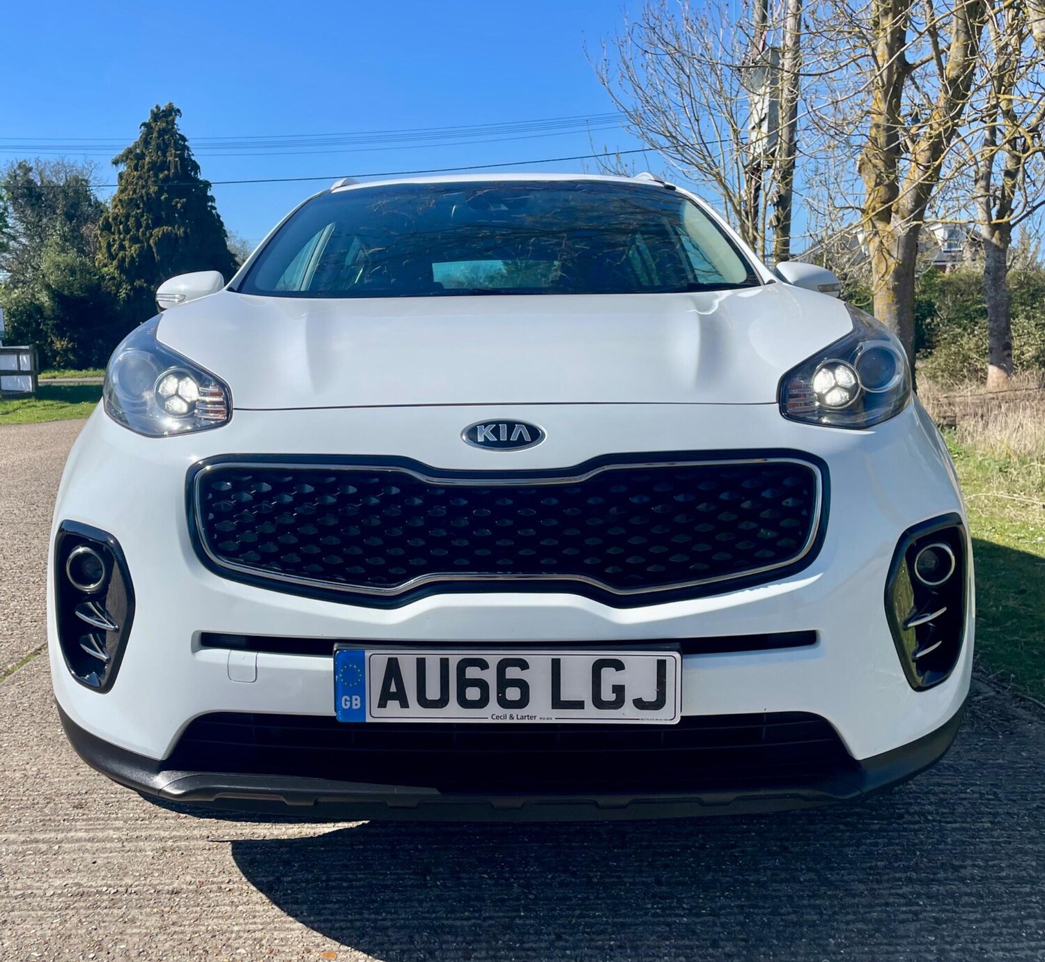 Used Kia Sportage 2016 for sale - 78190686: Photo 9