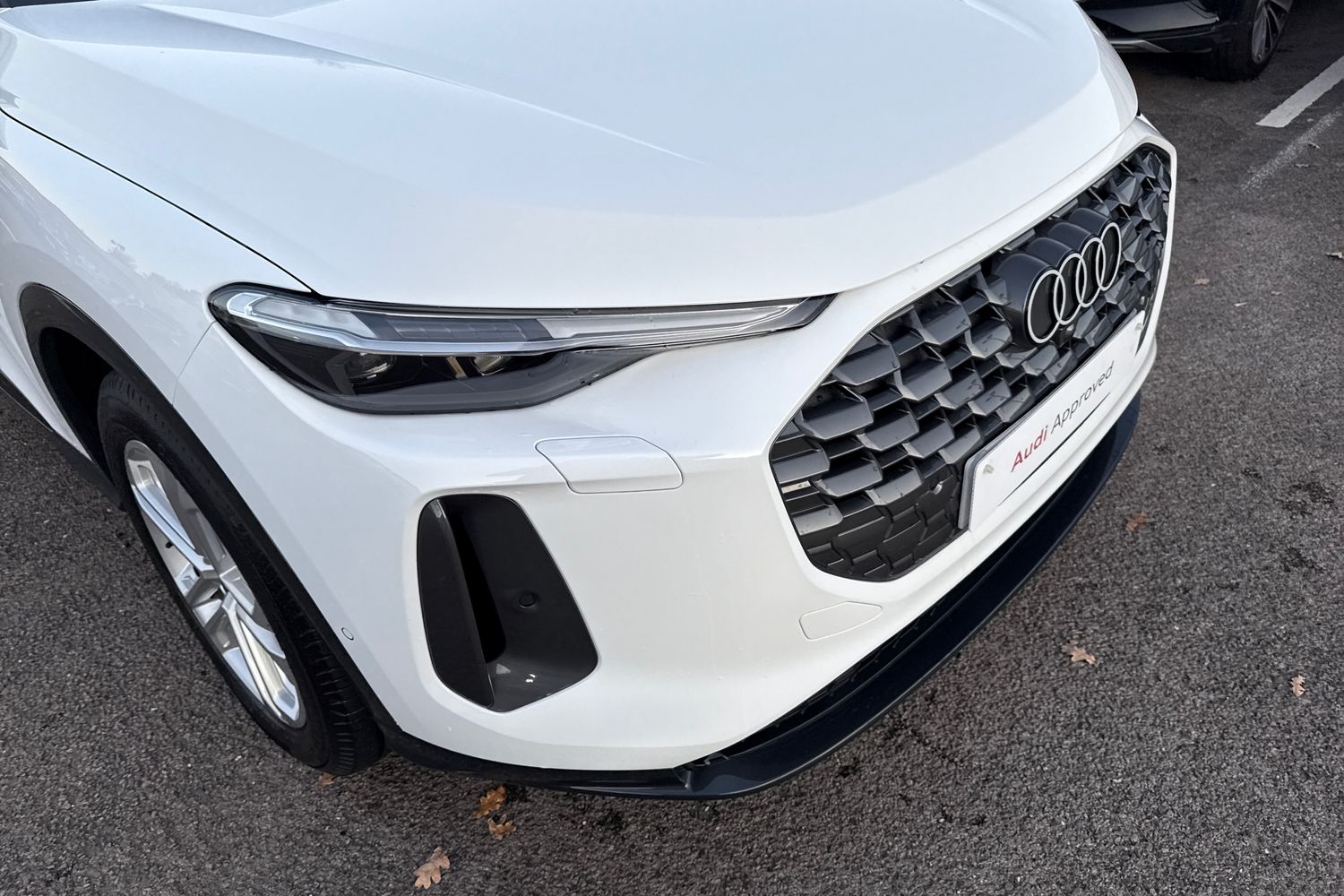 Used Audi Q5 2025 for sale - 76654220: Photo 8