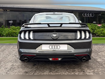 Used Ford Mustang 2019 for sale - 76429239: Photo