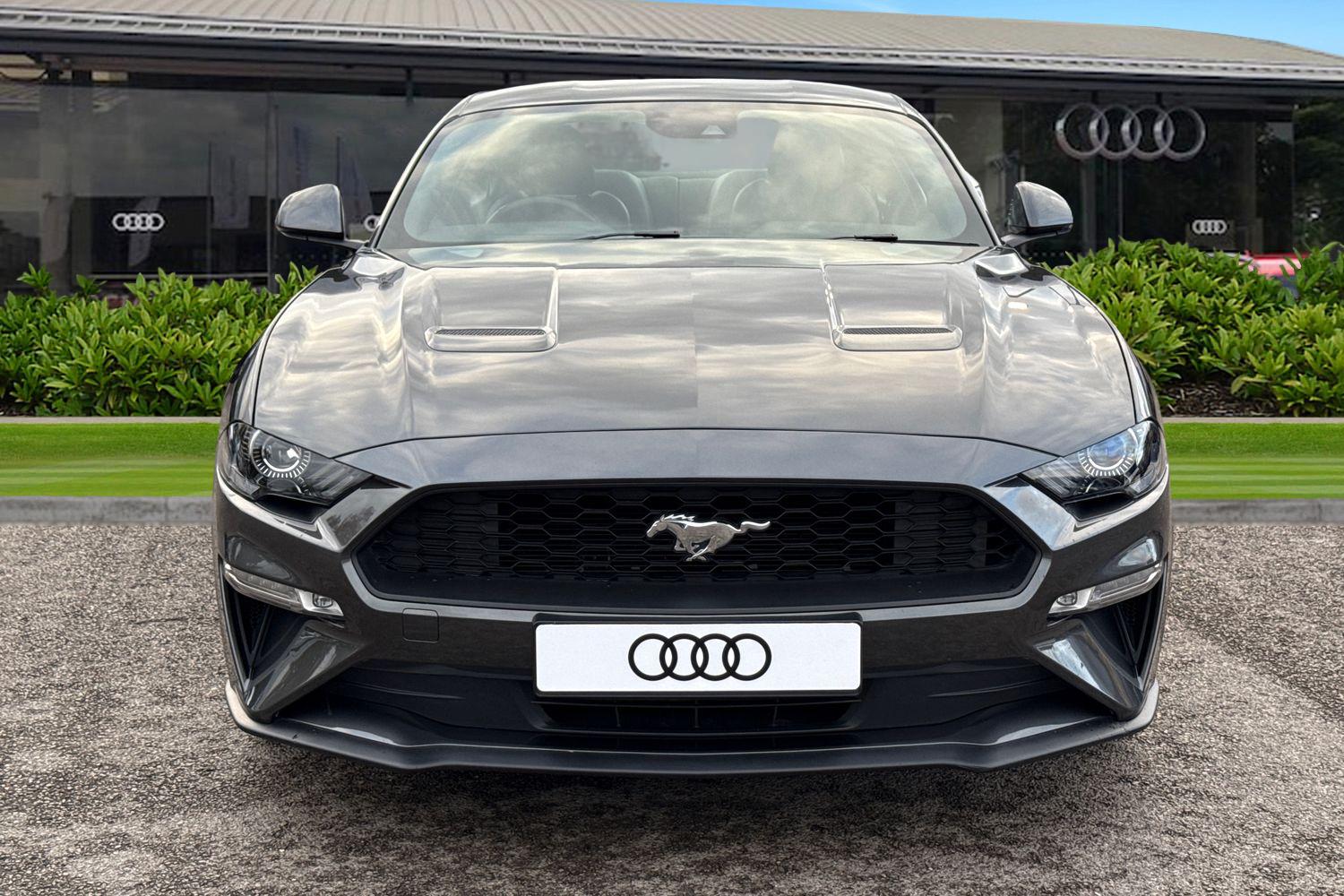 Used Ford Mustang 2019 for sale - 76429239: Photo 6