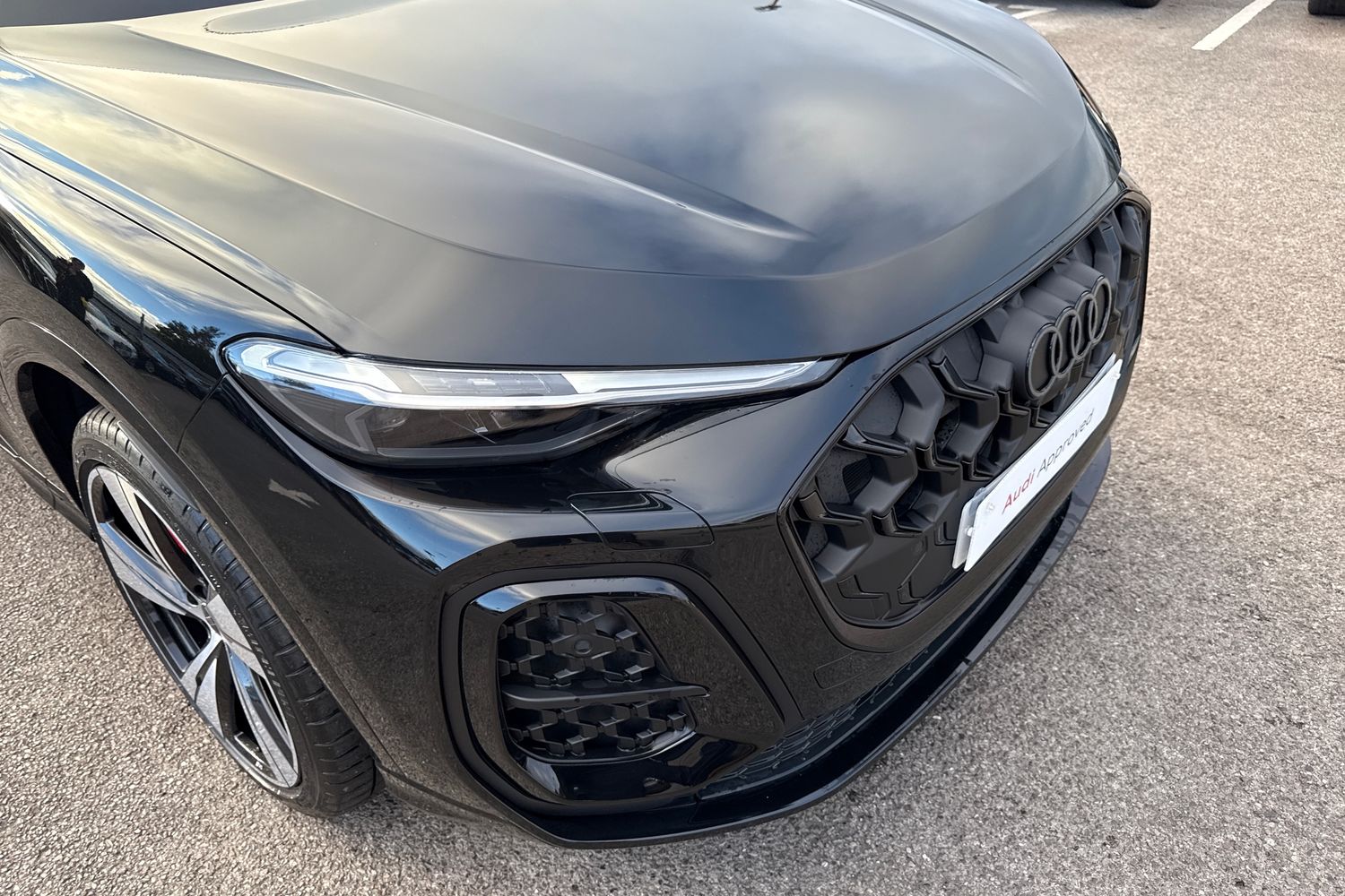 Used Audi Q5 2025 for sale - 76520051: Photo 8