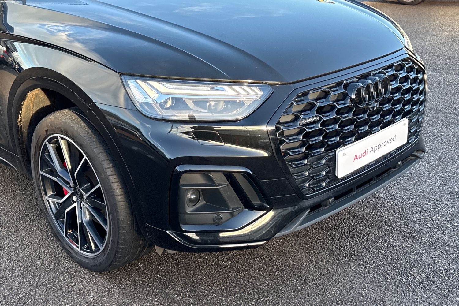 Used Audi Q5 2023 for sale - 76876104: Photo 8