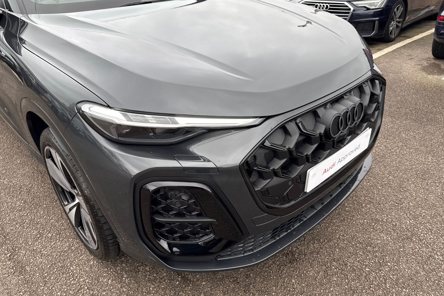 Used Audi Q5 2026 for sale - 77779661: Photo 8