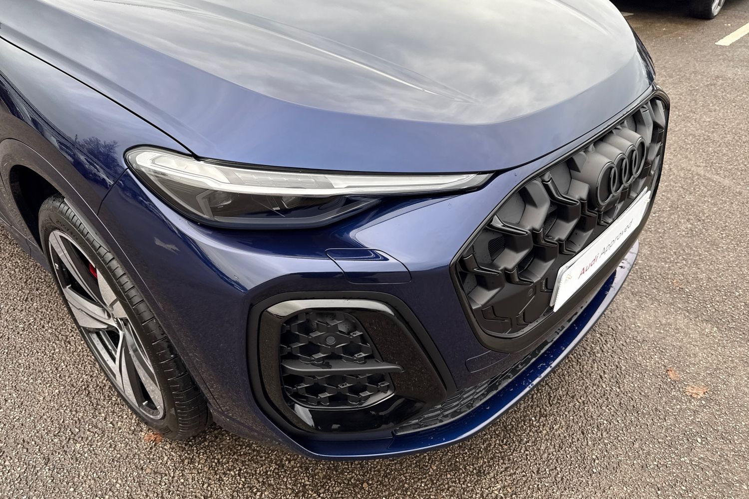 Used Audi Q5 2025 for sale - 76876042: Photo 9