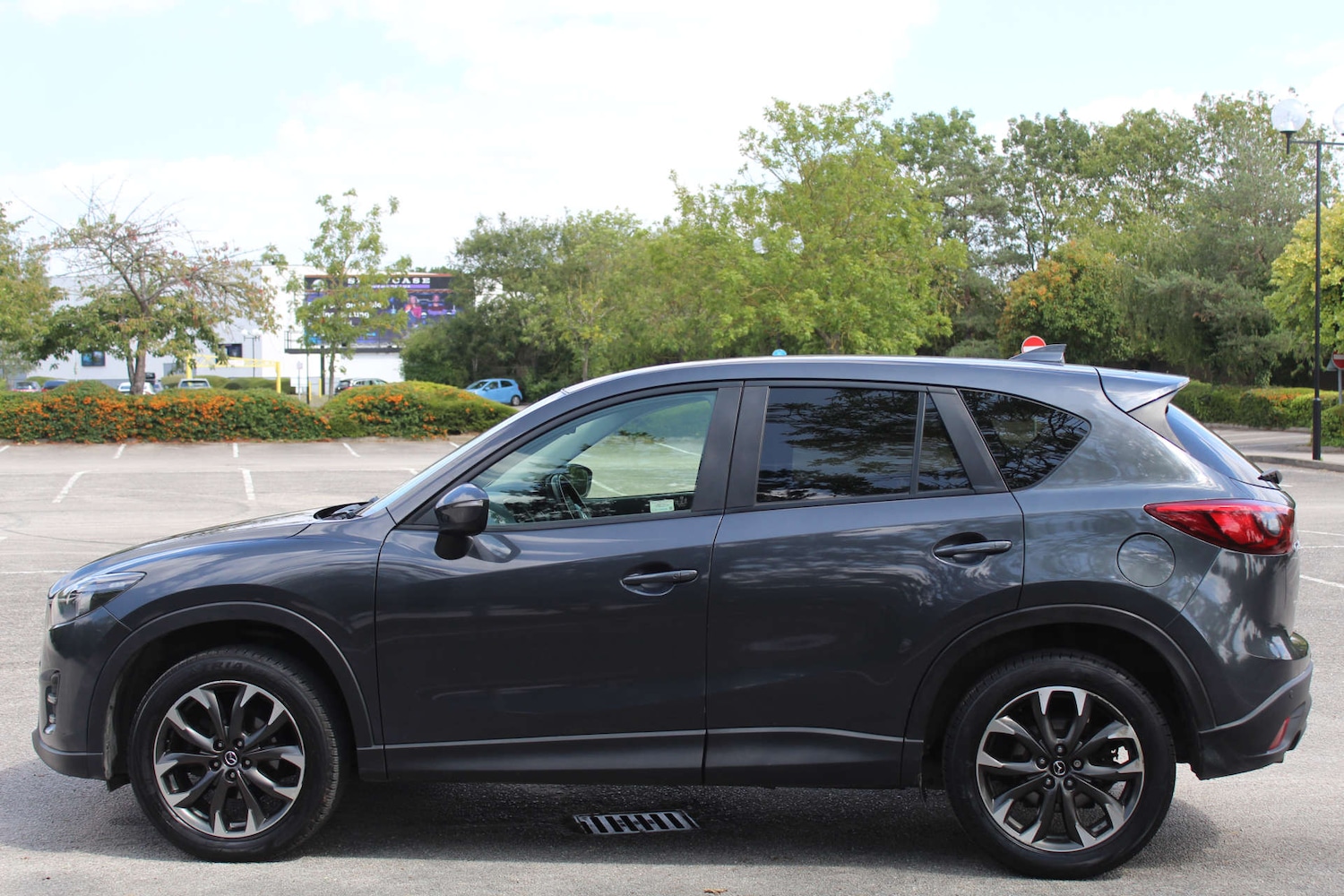 Vehicle 6