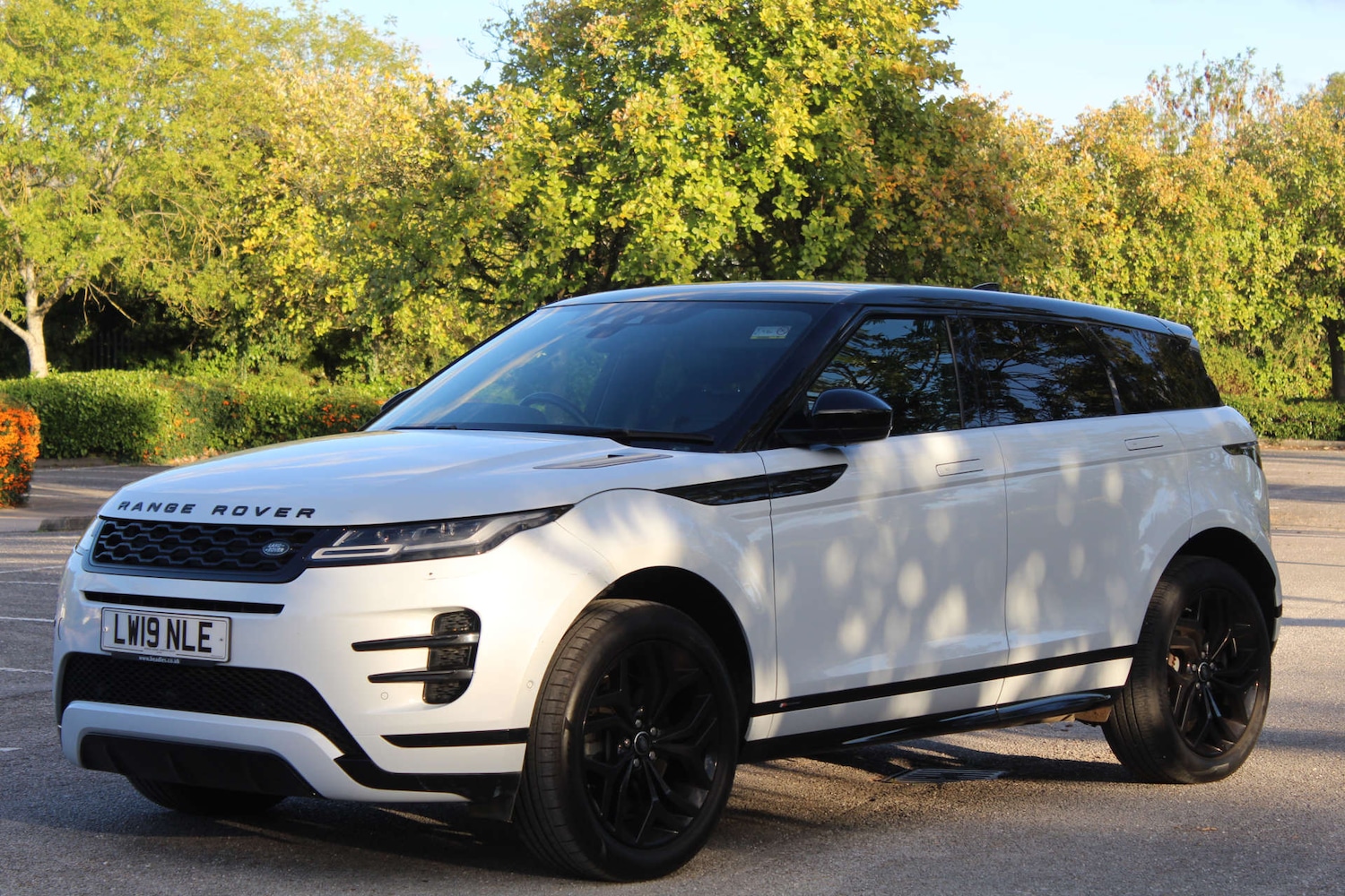 Used Land Rover Range Rover Evoque 2019 for sale - 76103823: Photo 6
