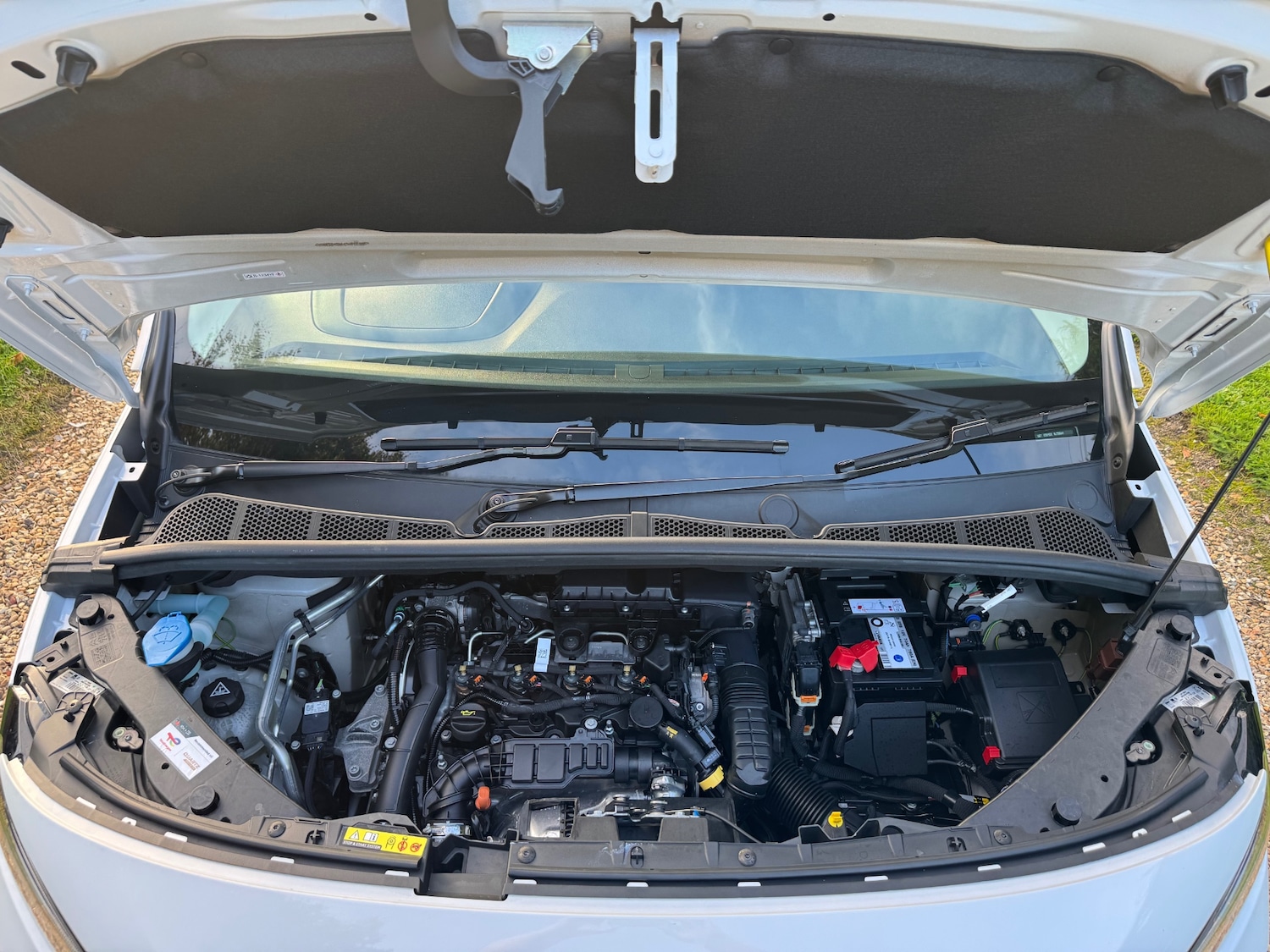 Used Citroen Berlingo 2024 for sale - 76221671: Photo 21