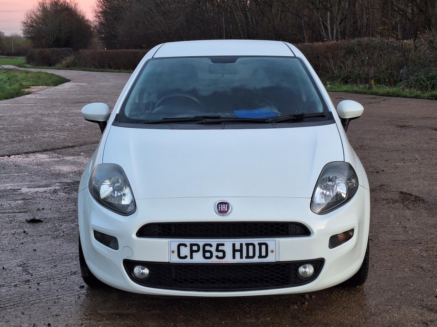 Used Fiat Punto 2016 for sale - 76968934: Photo 1
