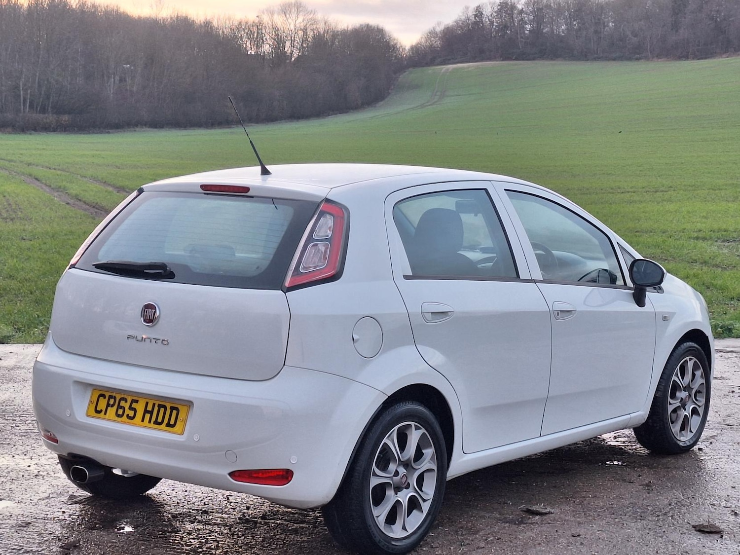 Used Fiat Punto 2016 for sale - 76968934: Photo 10