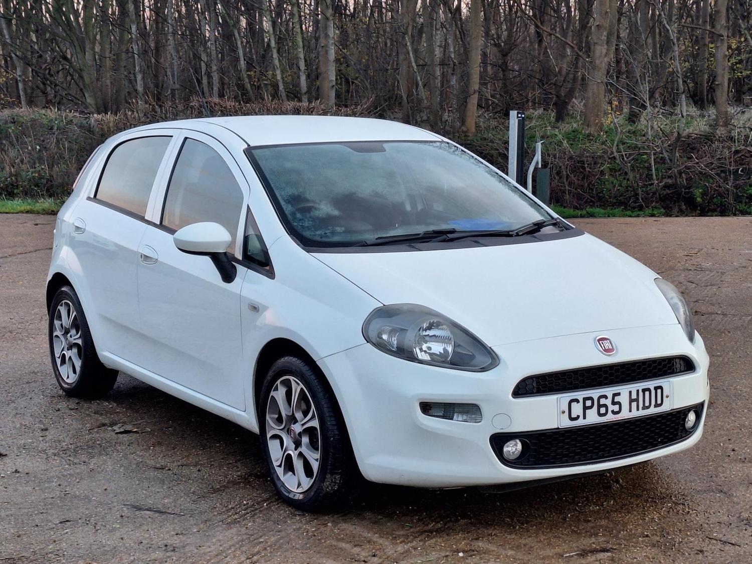 Used Fiat Punto 2016 for sale - 76968934: Photo 2