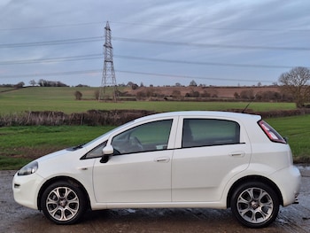Used Fiat Punto 2016 for sale - 76968934: Photo