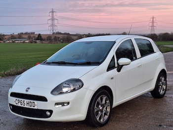 Used Fiat Punto 2016 for sale - 76968934: Photo