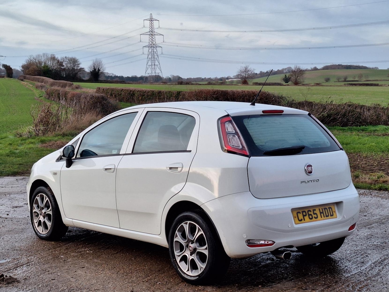 Used Fiat Punto 2016 for sale - 76968934: Photo 5