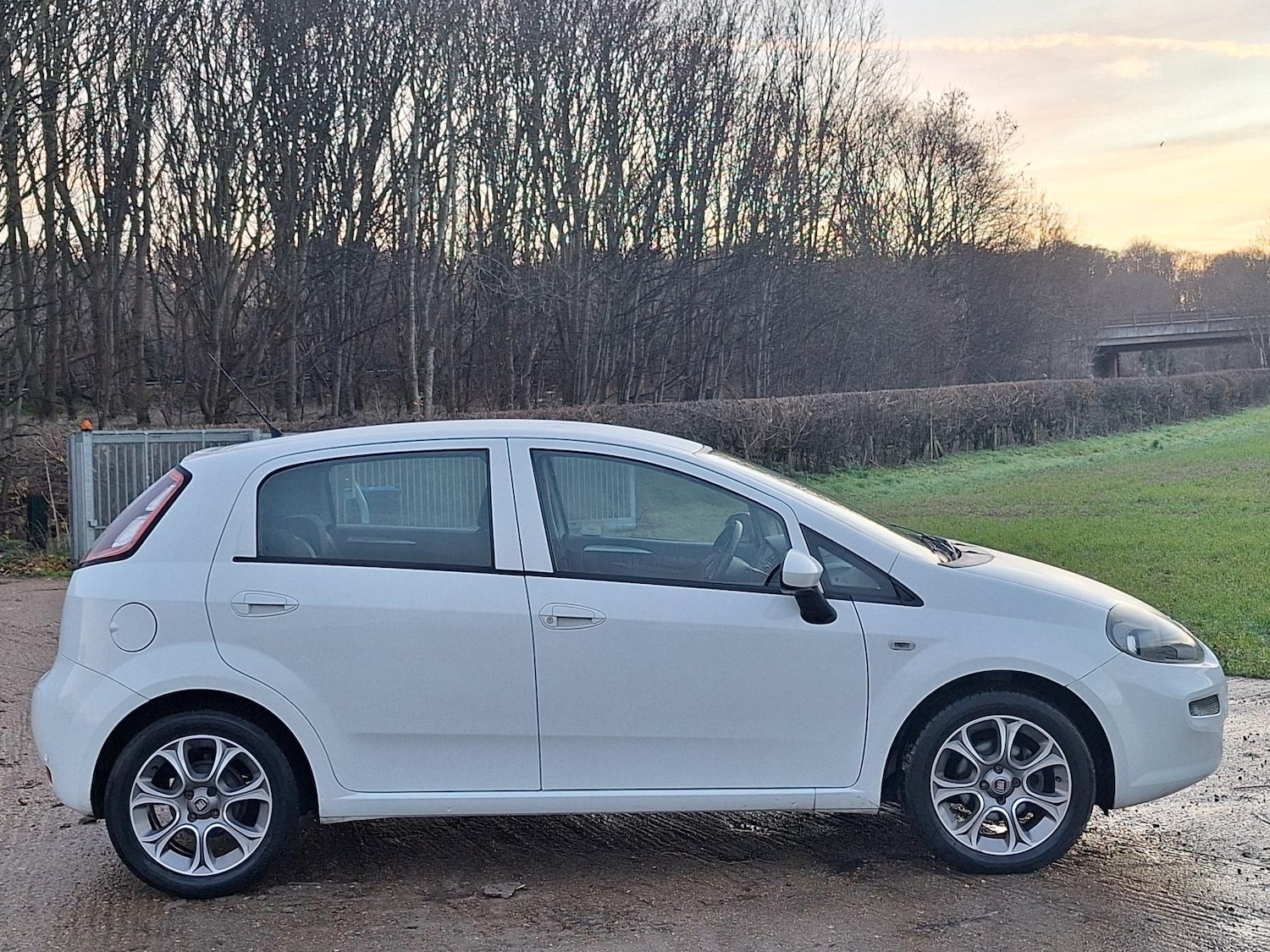 Used Fiat Punto 2016 for sale - 76968934: Photo 7