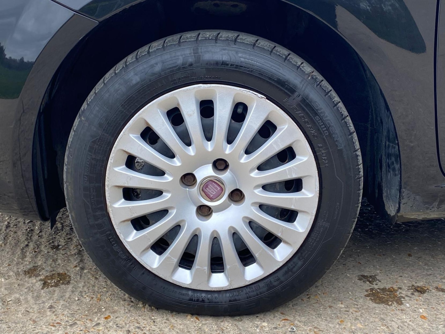 Used Fiat Punto Evo 2010 for sale - 78109633: Photo 30