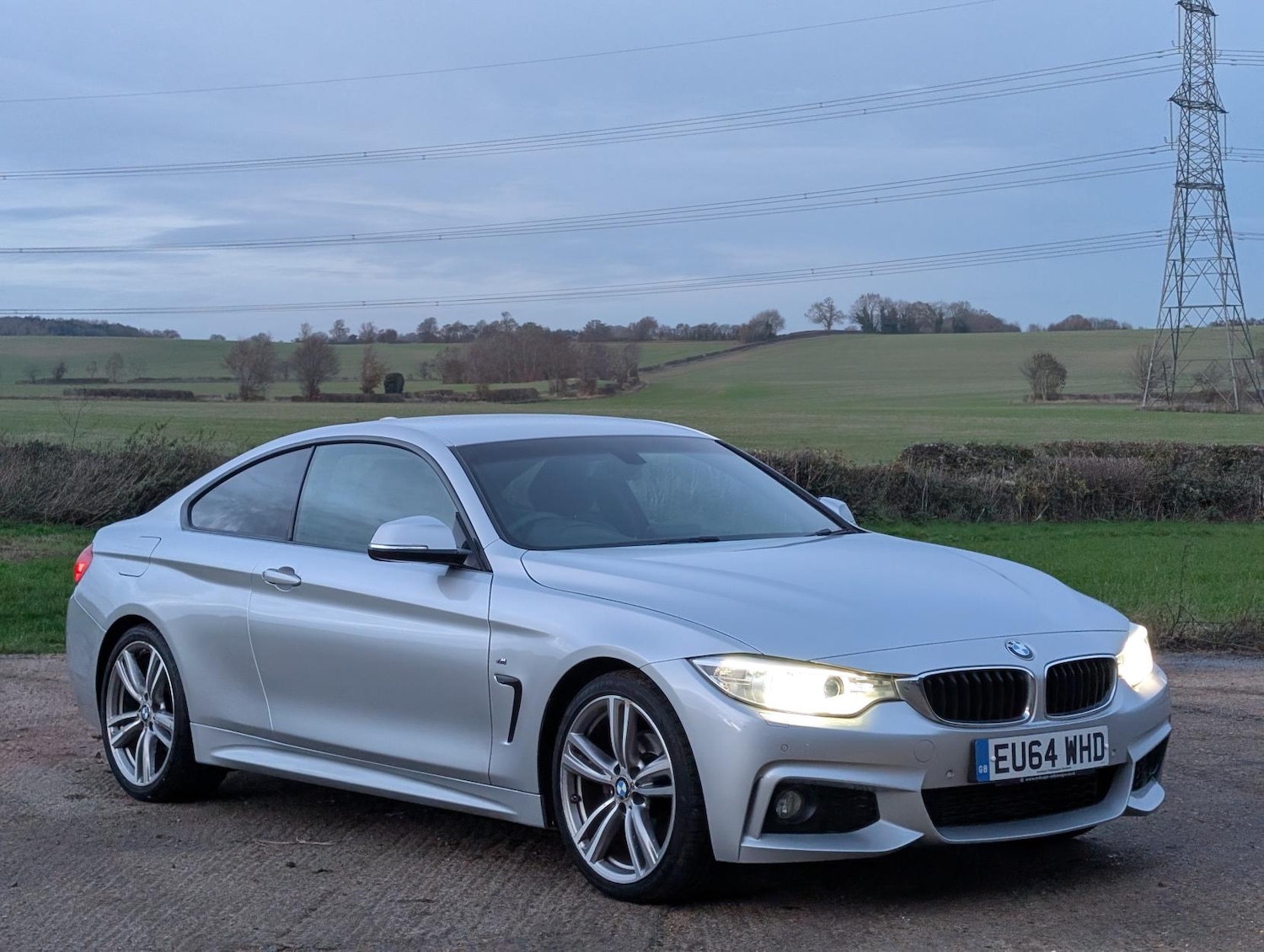 Used BMW 4 Series 2014 for sale - 76760643: Photo 1