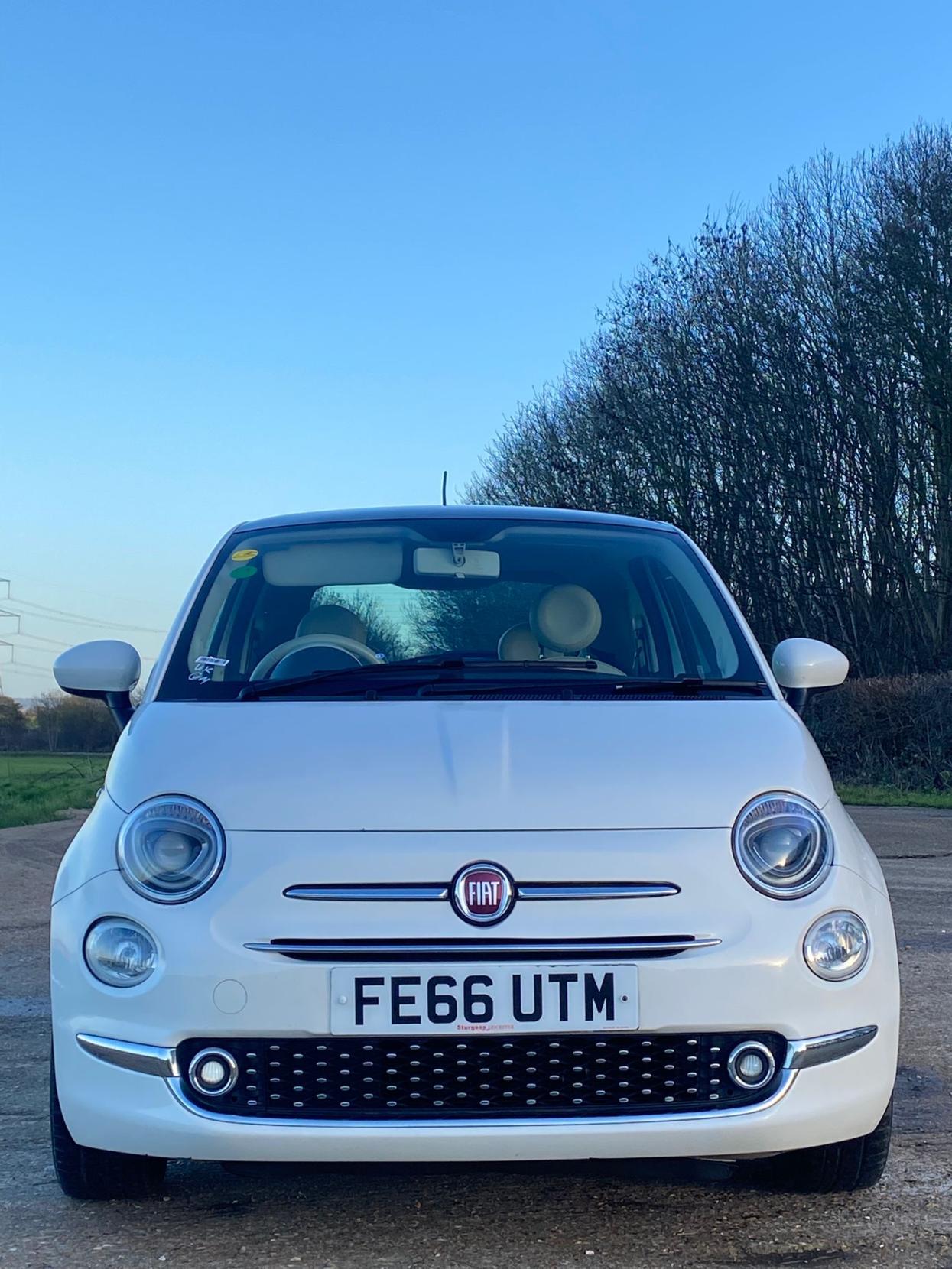 Used Fiat 500 2016 for sale - 77019990: Photo 2