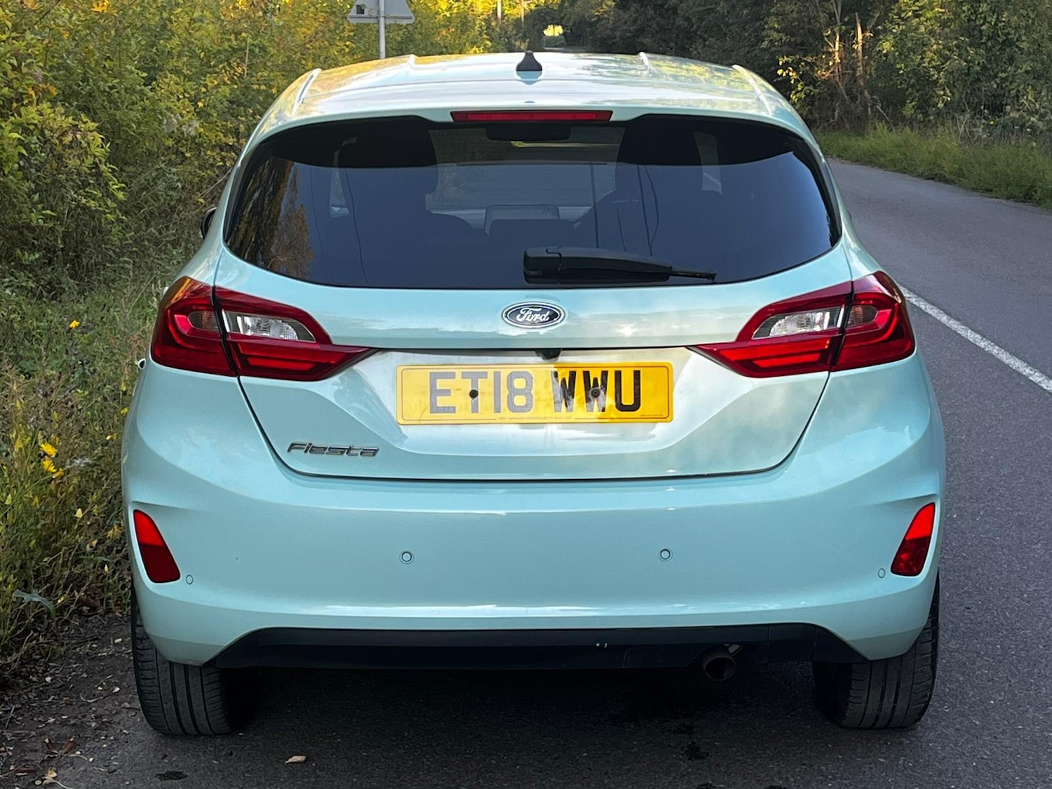 Used Ford Fiesta 2018 for sale - 76131383: Photo 6