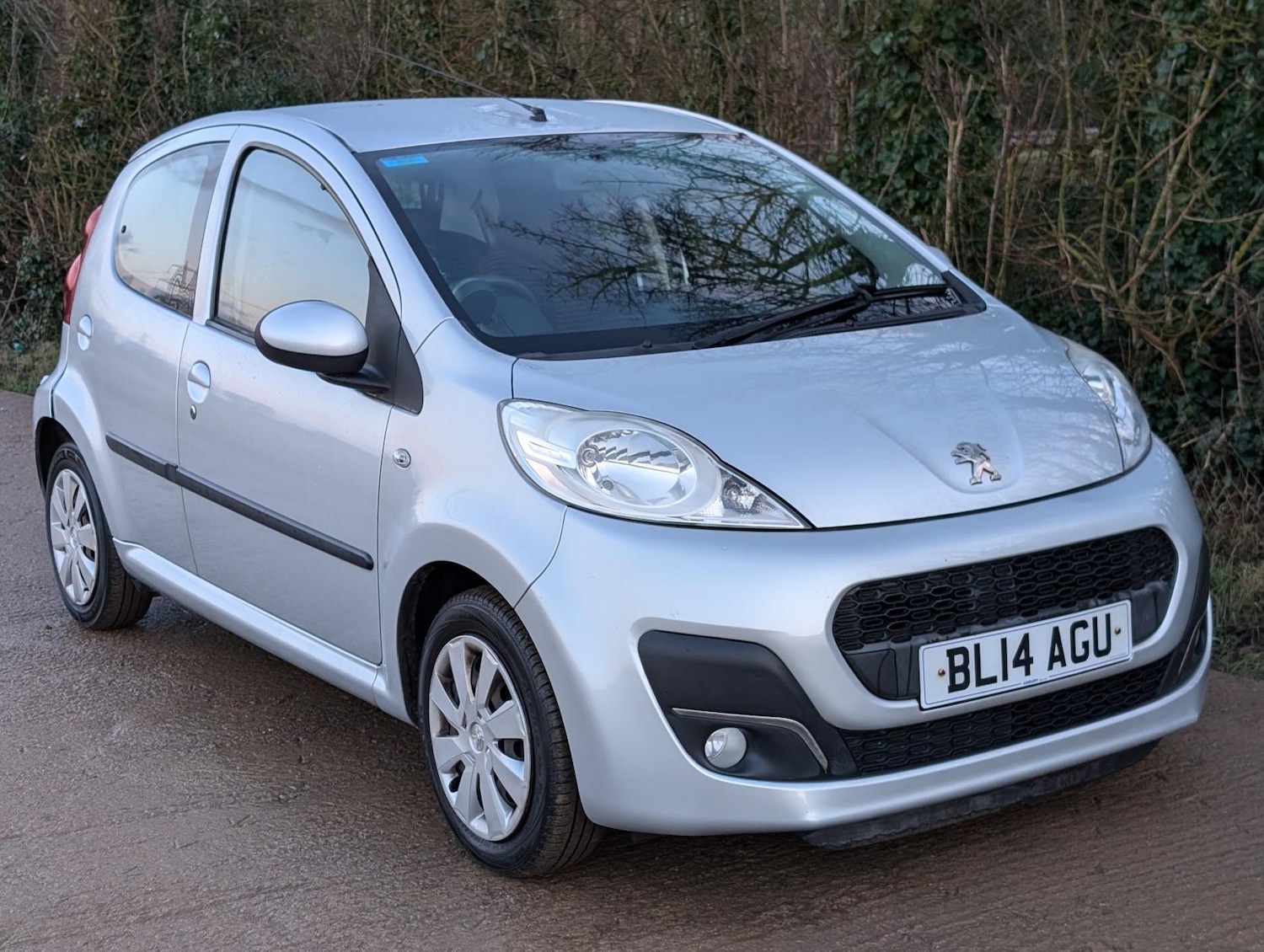 Vehicle 1