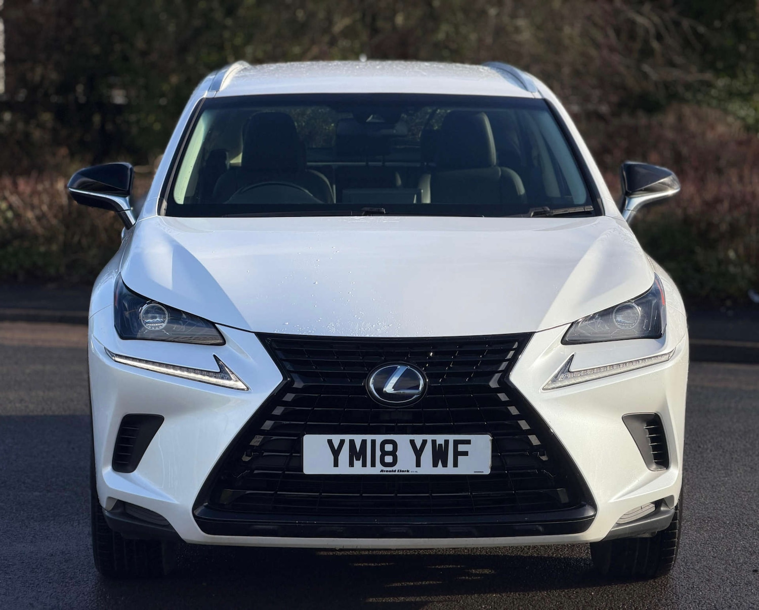 Used Lexus NX 2018 for sale - 77437467: Photo 2