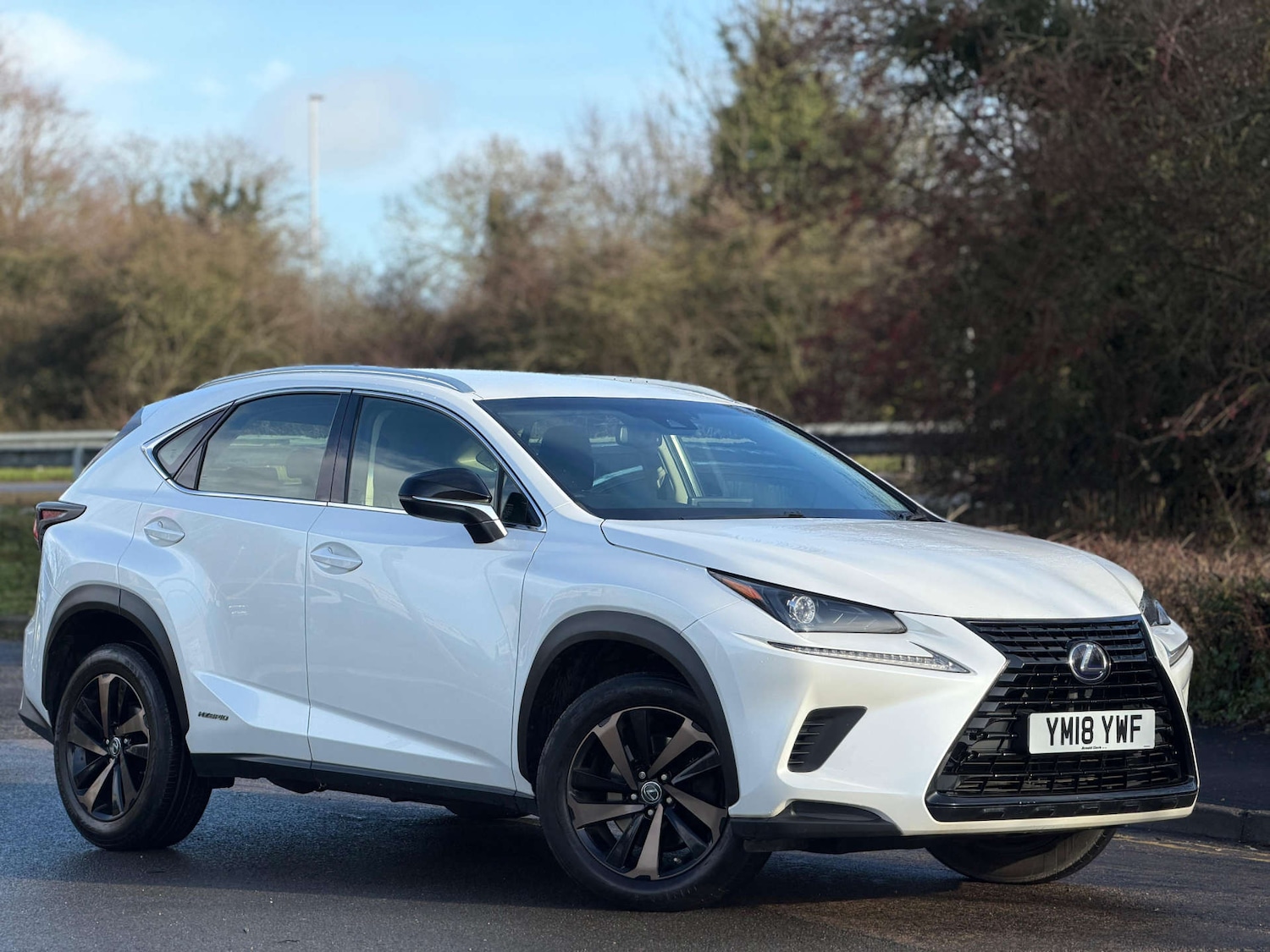 Used Lexus NX 2018 for sale - 77437467: Photo 7