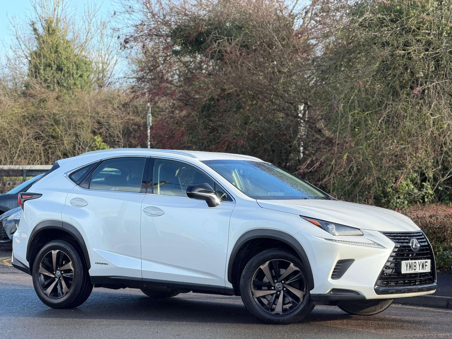 Used Lexus NX 2018 for sale - 77437467: Photo 8