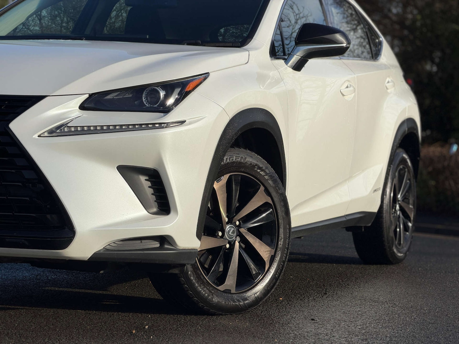 Used Lexus NX 2018 for sale - 77437467: Photo 89