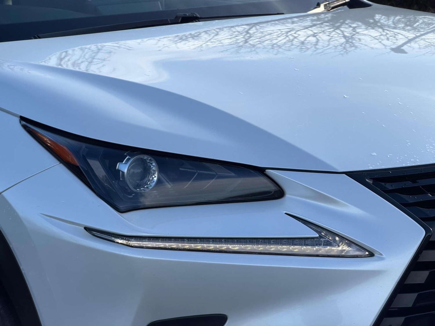 Used Lexus NX 2018 for sale - 77437467: Photo 90